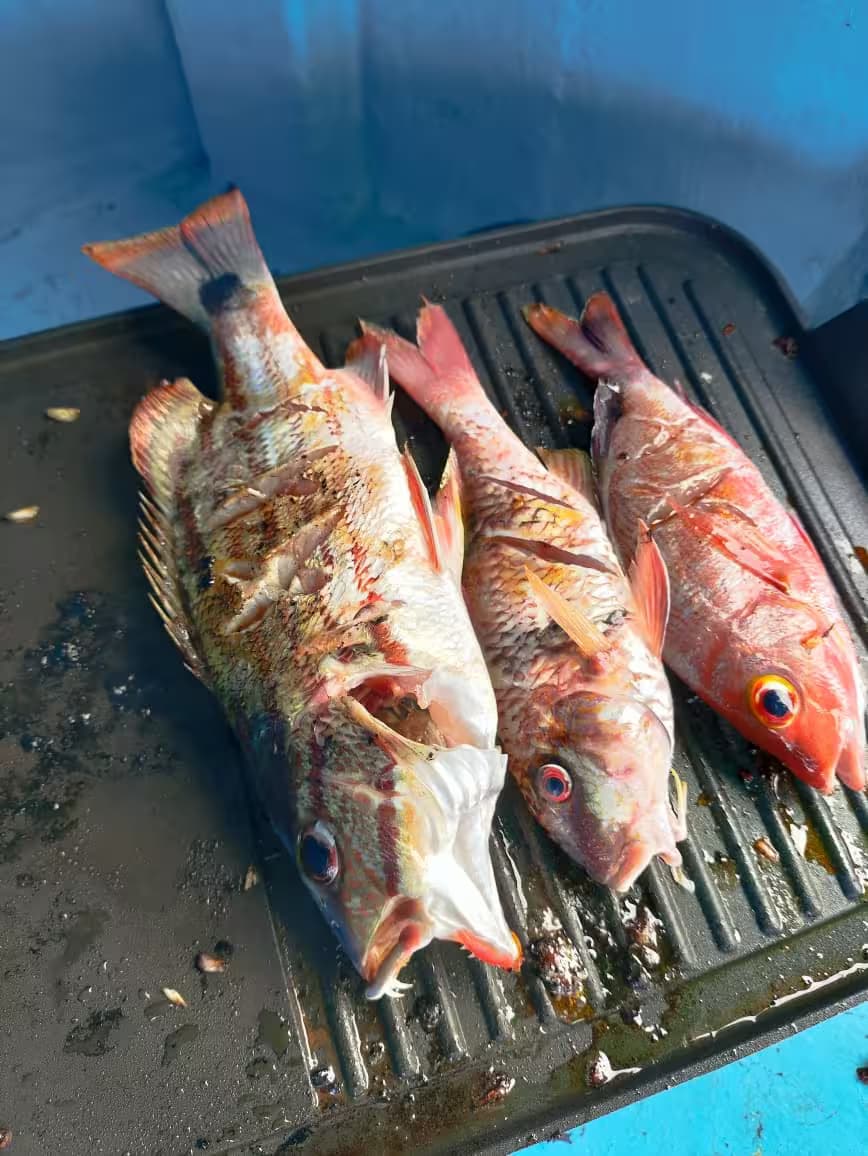 Fun Fishing Trip 4