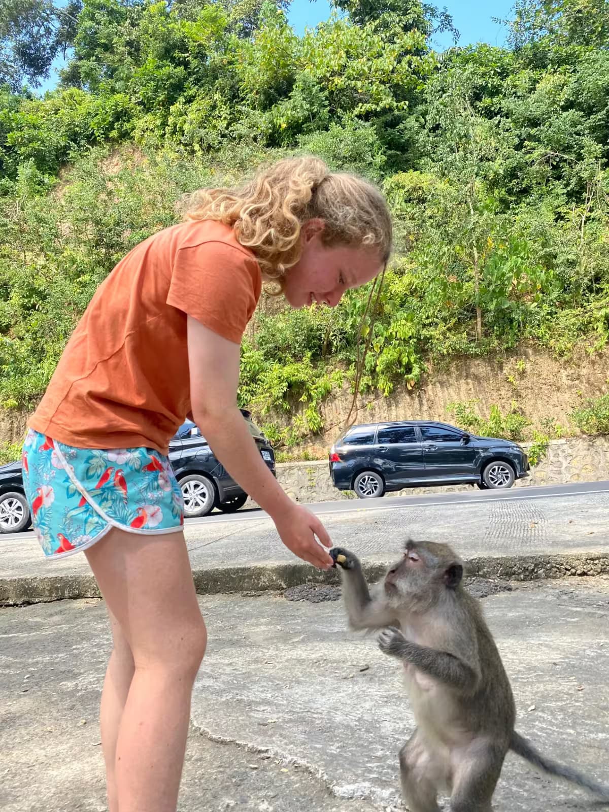 Feed friendly monkey