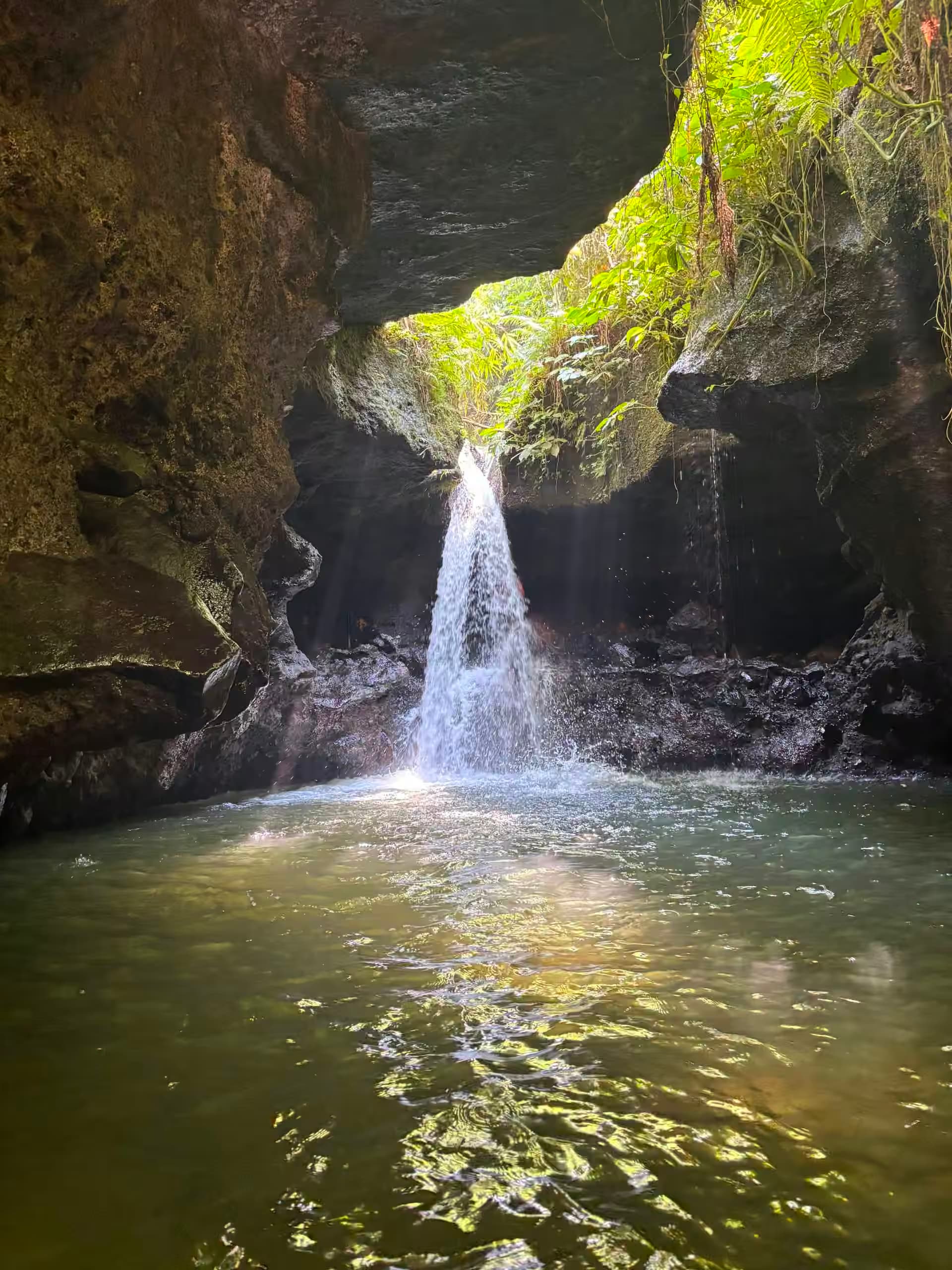 Tetebatu Hiking Trails & Tours 5