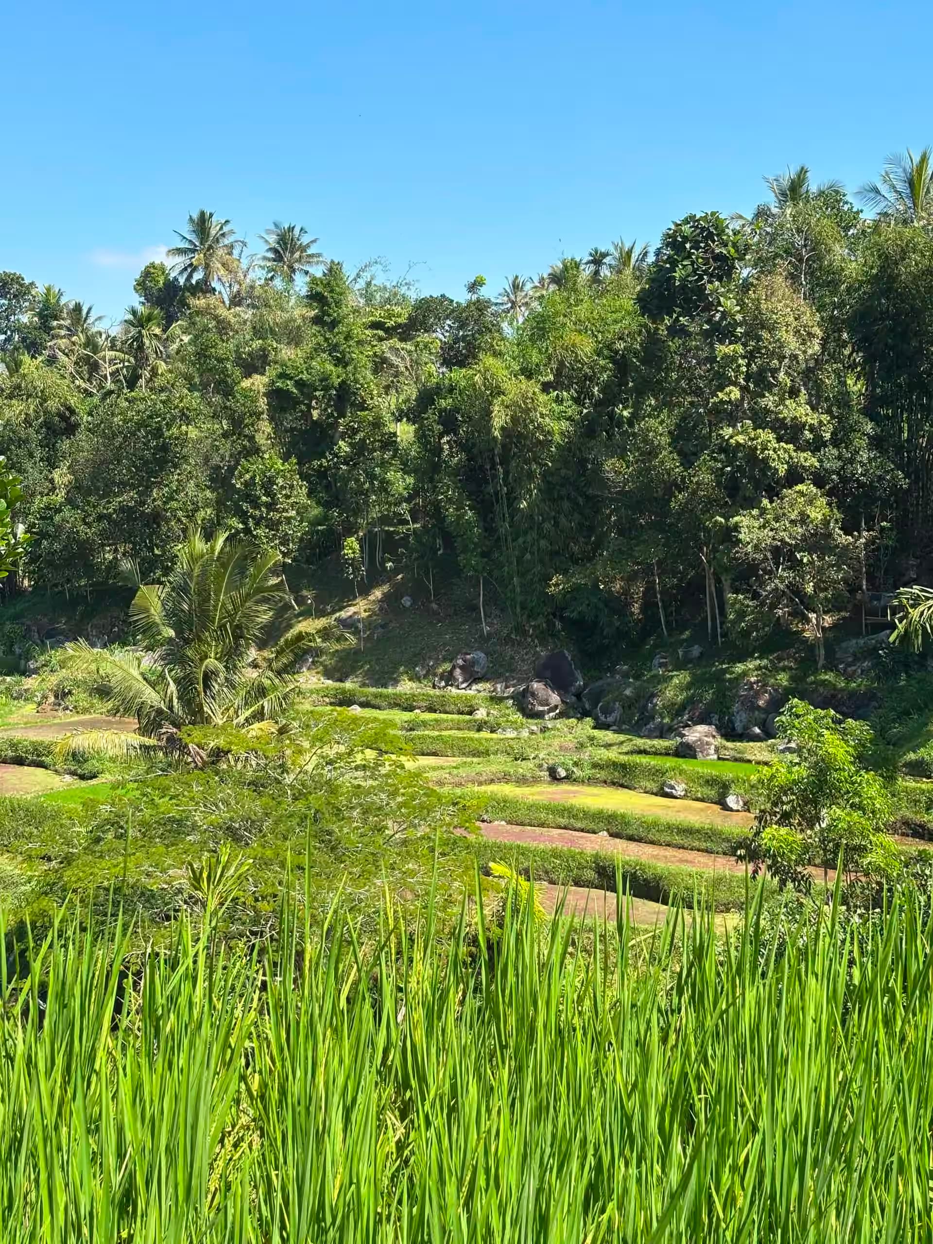 Tetebatu Hiking Trails & Tours 3
