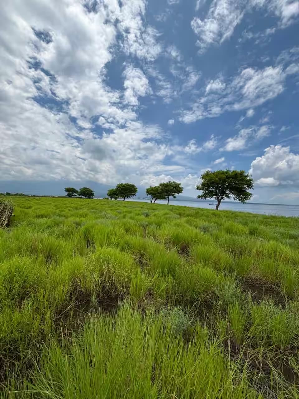 Explore east Gii's (Gili kondo,gili kapal,giii bidara,gili petagan) 3