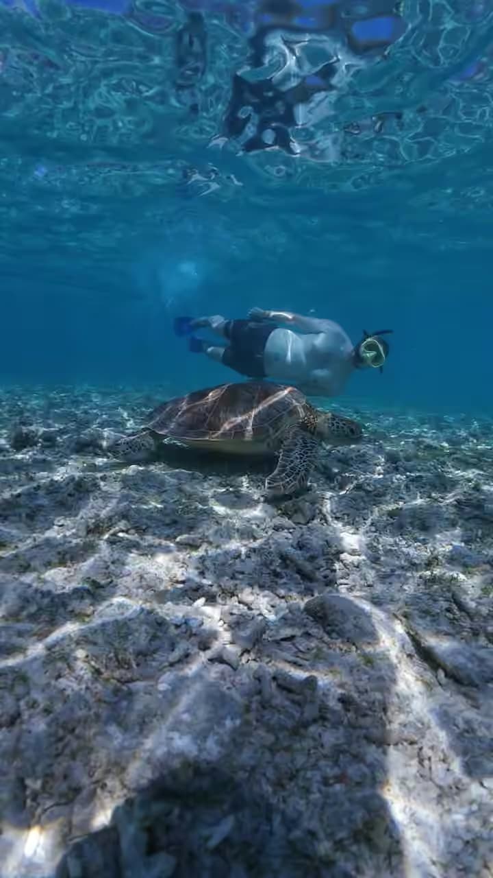 Explore North Gili's (Gili trawangan,Meno,air) 3