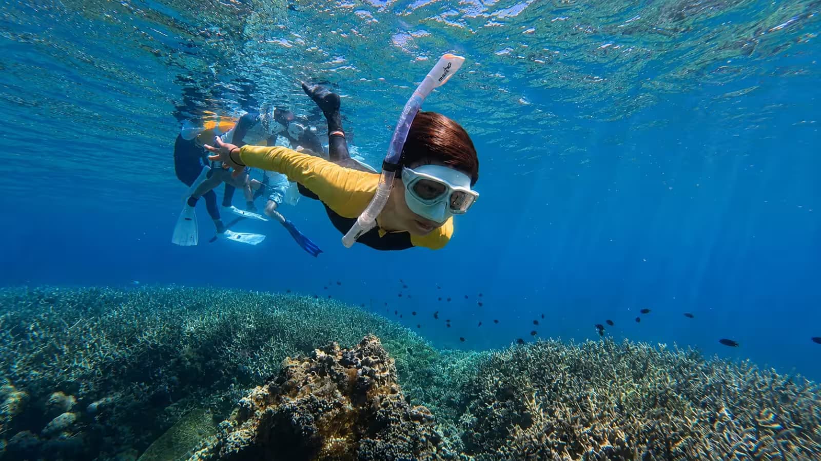 East Gili"s Camping & Snorkling 2
